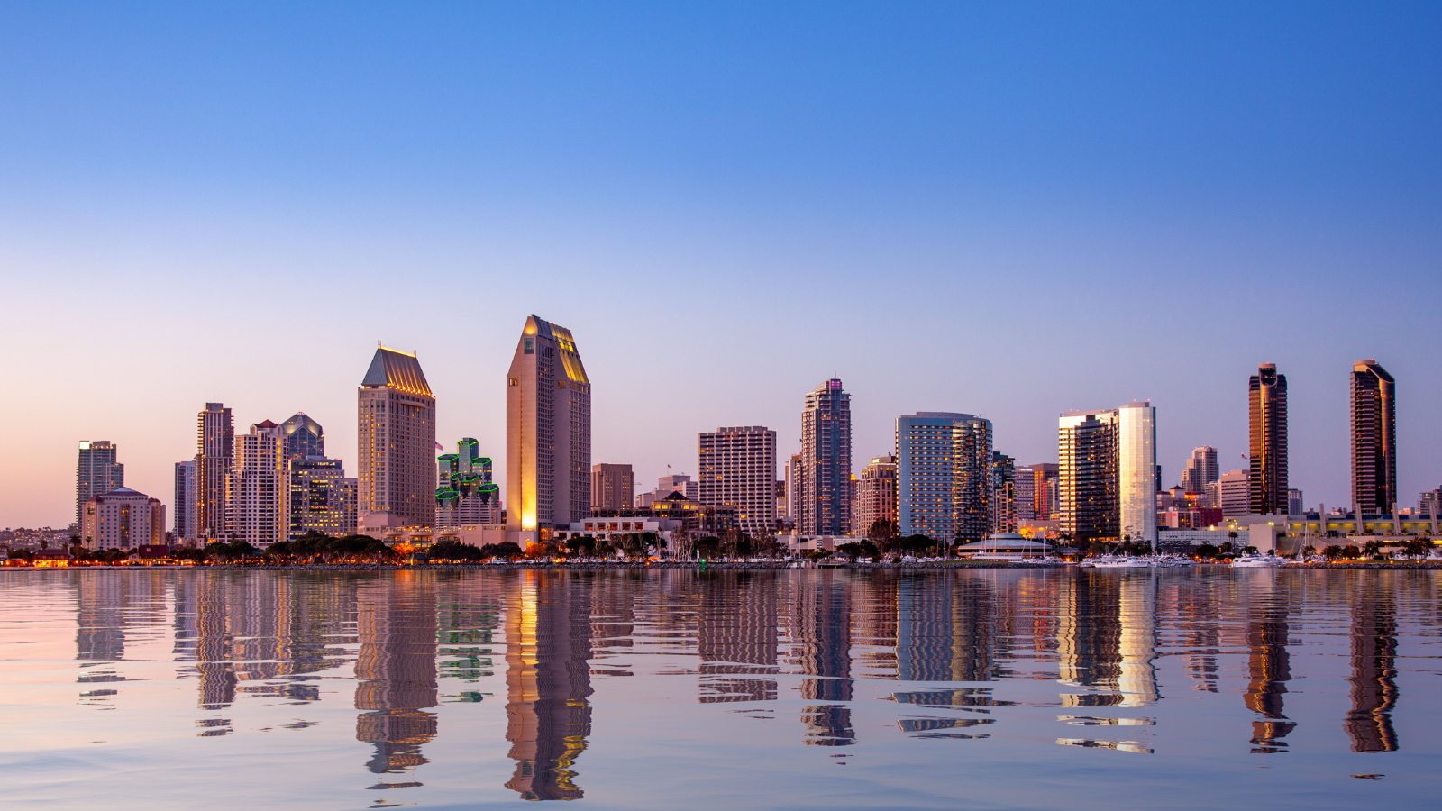 Startup Funding Options in
San Diego that Tech Entrepreneurs
Must Know
