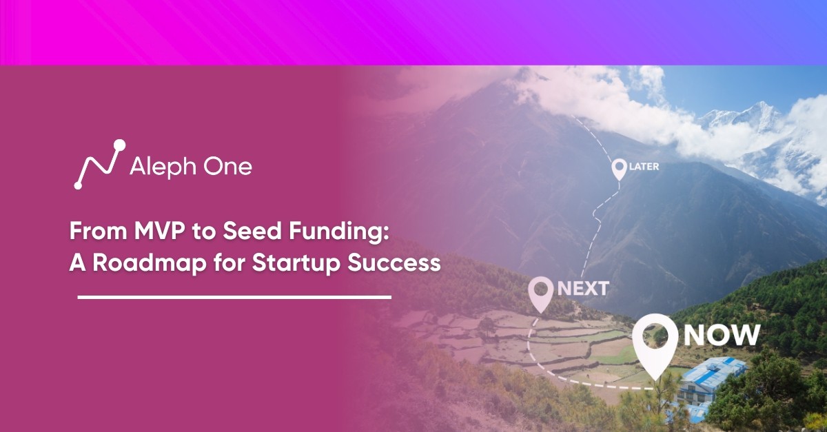 From MVP to Seed Funding A Roadmap for Startup Success