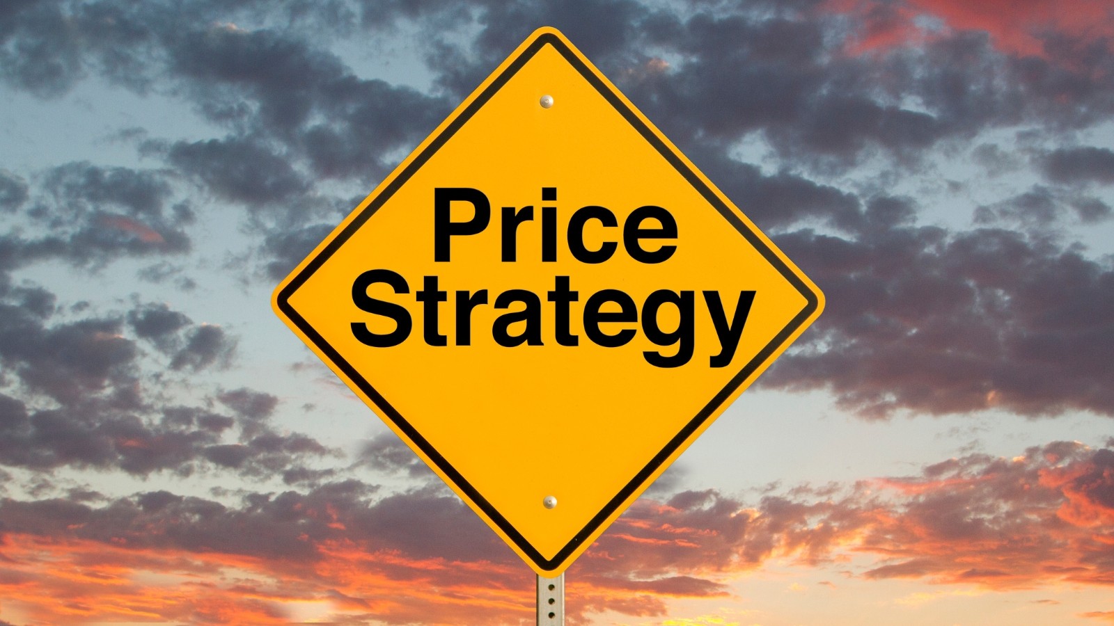 How to Determine the Best Pricing Model for Your Startup's Services