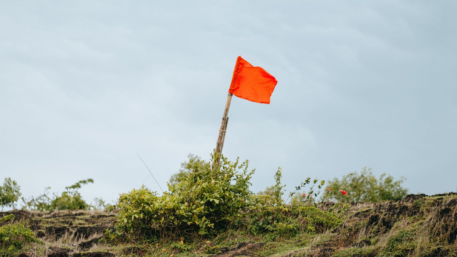 Recognizing Red Flags in Startup Partnerships When to Call It Quits and How to Move Forward